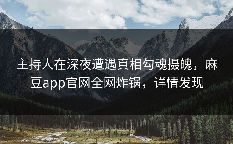 主持人在深夜遭遇真相勾魂摄魄，麻豆app官网全网炸锅，详情发现