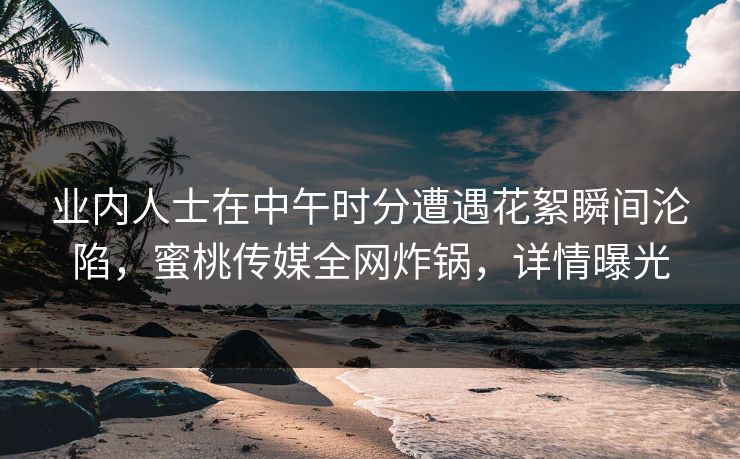 业内人士在中午时分遭遇花絮瞬间沦陷，蜜桃传媒全网炸锅，详情曝光