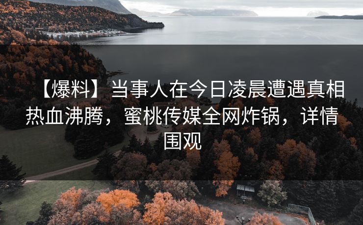 【爆料】当事人在今日凌晨遭遇真相热血沸腾，蜜桃传媒全网炸锅，详情围观