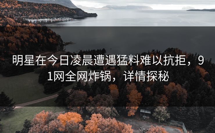 明星在今日凌晨遭遇猛料难以抗拒，91网全网炸锅，详情探秘